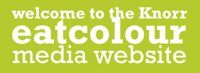 2007 / Eat Colour - Webdesign